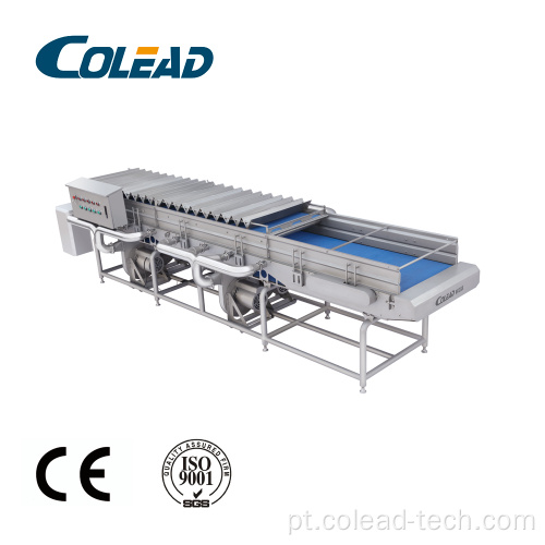 SUS304 Máquina de secagem de cinto de folhas de aço inoxidável